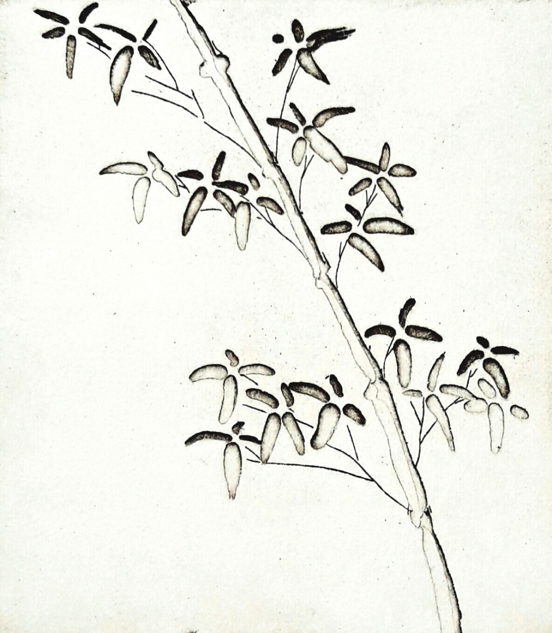 genevieve guadalupe bamboo intaglio