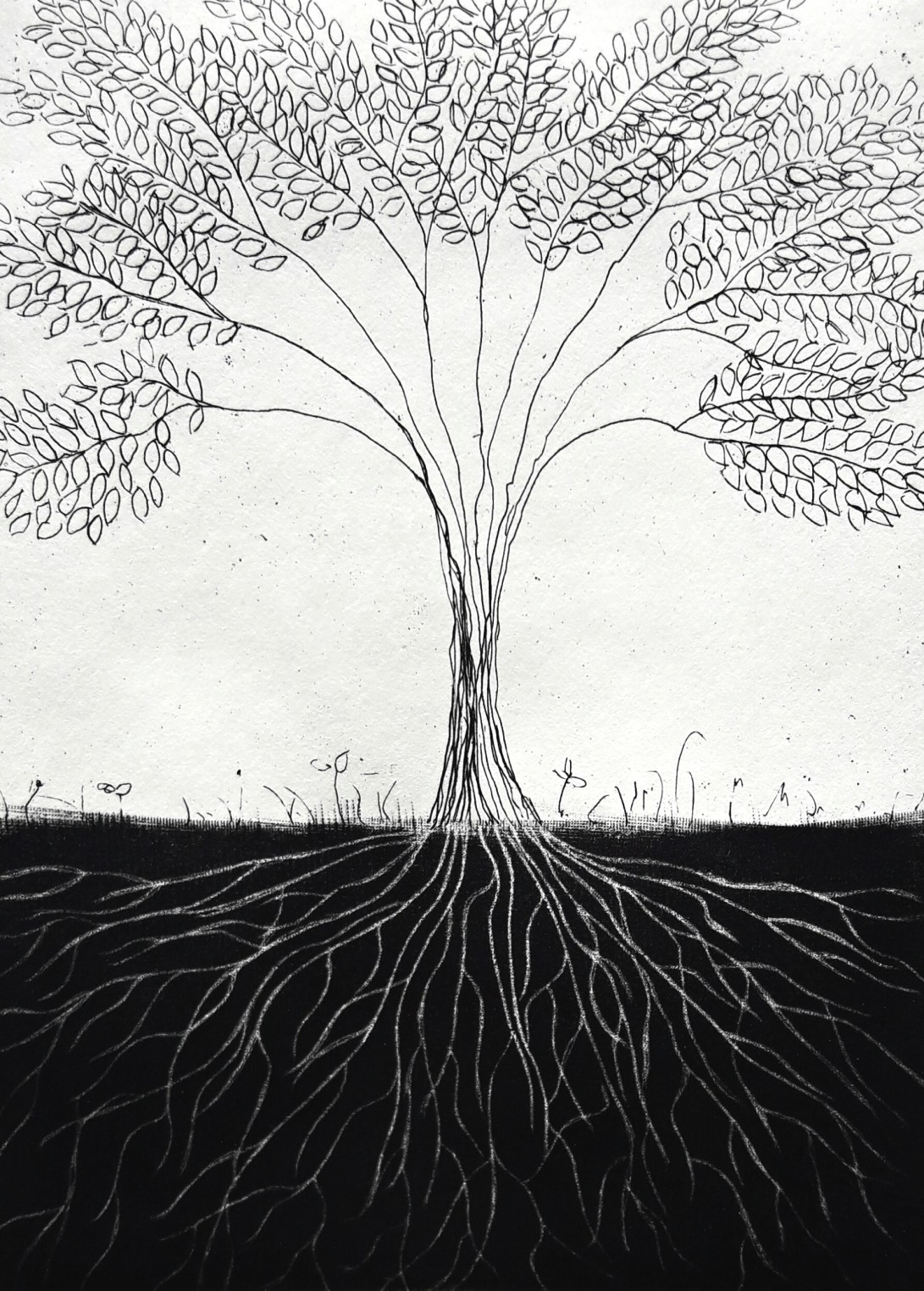 genevieve guadalupe raices etching-mezzotint 13x9,5cm 5x3.75'' 2017