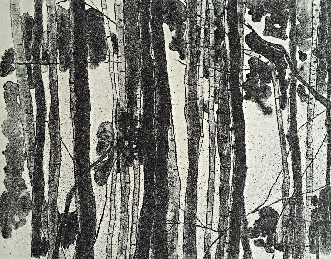 genevieve guadalupe. woods. lithograph. 2017. 9.5x13.5''. 24x34cm